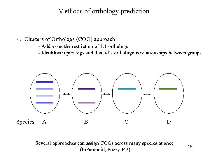 Methods of orthology prediction 4. Clusters of Orthologs (COG) approach: - Addresses the restriction