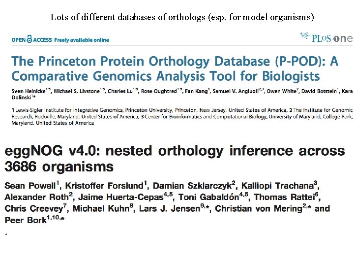 Lots of different databases of orthologs (esp. for model organisms) 