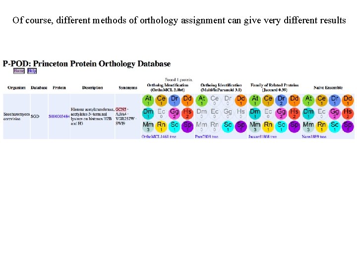 Of course, different methods of orthology assignment can give very different results 