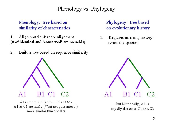 Phenology vs. Phylogeny Phenology: tree based on similarity of characteristics 1. Align protein &