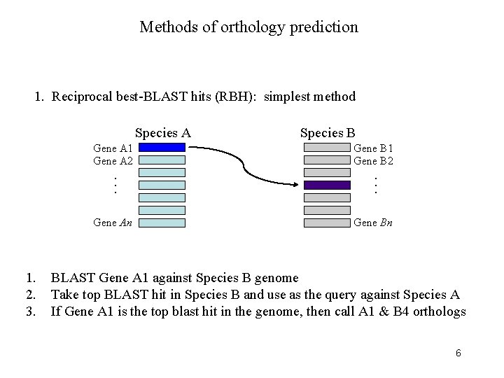 Methods of orthology prediction 1. Reciprocal best-BLAST hits (RBH): simplest method Species A Gene