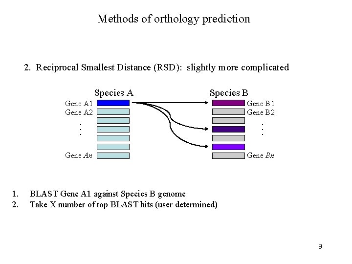 Methods of orthology prediction 2. Reciprocal Smallest Distance (RSD): slightly more complicated Species A
