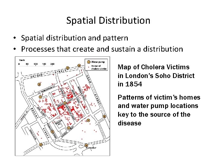 Spatial Distribution • Spatial distribution and pattern • Processes that create and sustain a