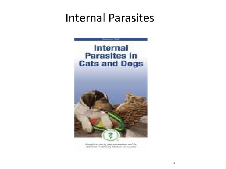  Internal Parasites 1 