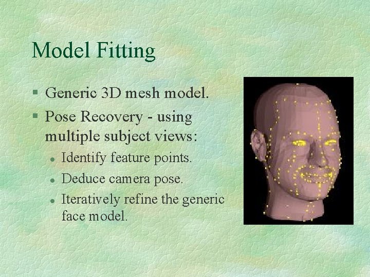 Model Fitting § Generic 3 D mesh model. § Pose Recovery - using multiple