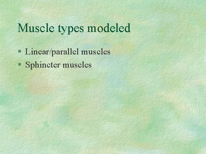 Muscle types modeled § Linear/parallel muscles § Sphincter muscles 