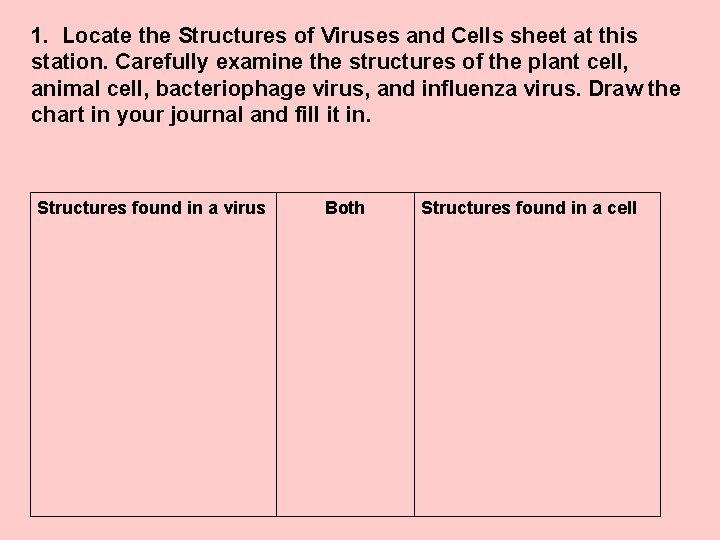 1. Locate the Structures of Viruses and Cells sheet at this station. Carefully examine