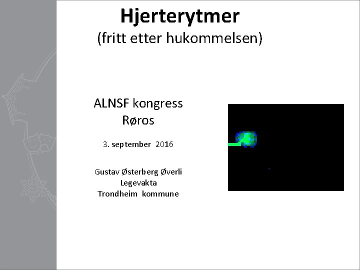 Hjerterytmer (fritt etter hukommelsen) ALNSF kongress Røros 3. september 2016 Gustav Østerberg Øverli Legevakta
