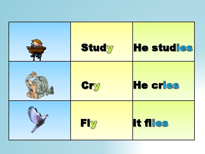 Study He studies Cry He cries Fly It flies 