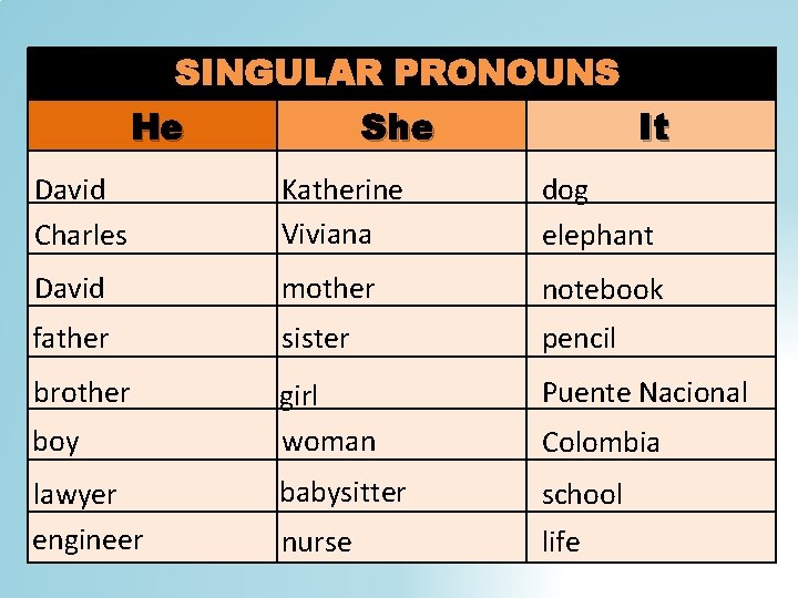 SINGULAR PRONOUNS He She It David Charles Katherine Viviana dog elephant David mother notebook