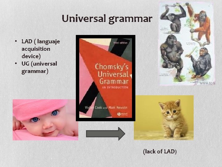 Universal grammar • LAD ( languaje acquisition device) • UG (universal grammar) (lack of