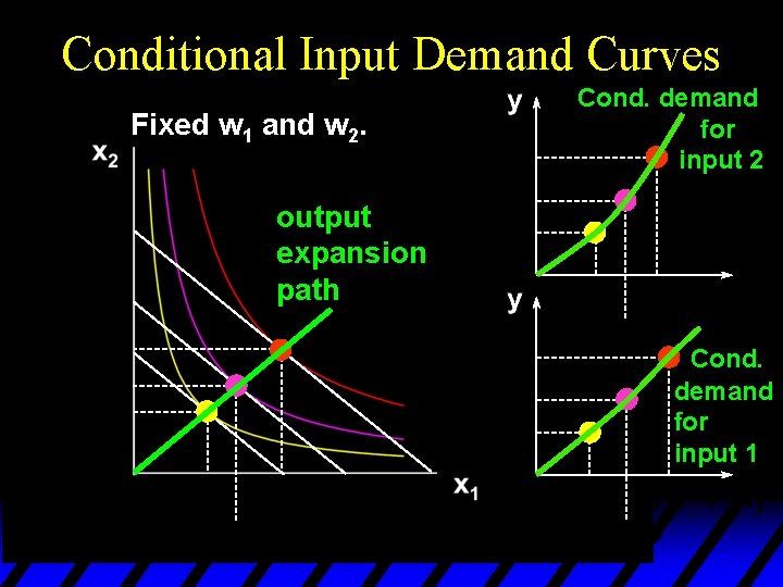Conditional Input Demand Curves Fixed w 1 and w 2. Cond. demand for input