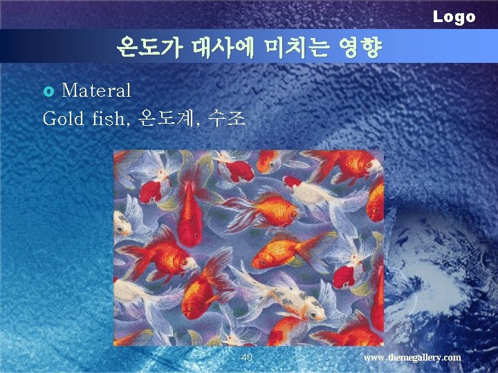 Logo 온도가 대사에 미치는 영향 Materal Gold fish, 온도계, 수조 £ 40 www. themegallery.
