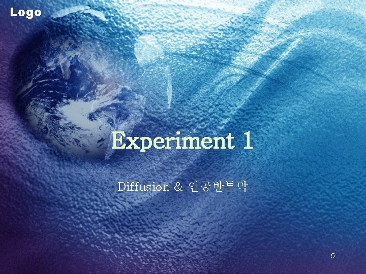 Logo Experiment 1 Diffusion & 인공반투막 5 