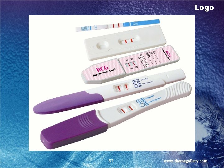 Logo 57 www. themegallery. com 