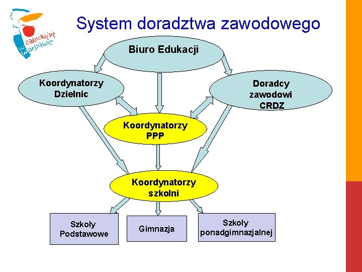 System doradztwa zawodowego Biuro Edukacji Koordynatorzy Dzielnic Doradcy zawodowi CRDZ Koordynatorzy PPP Koordynatorzy szkolni