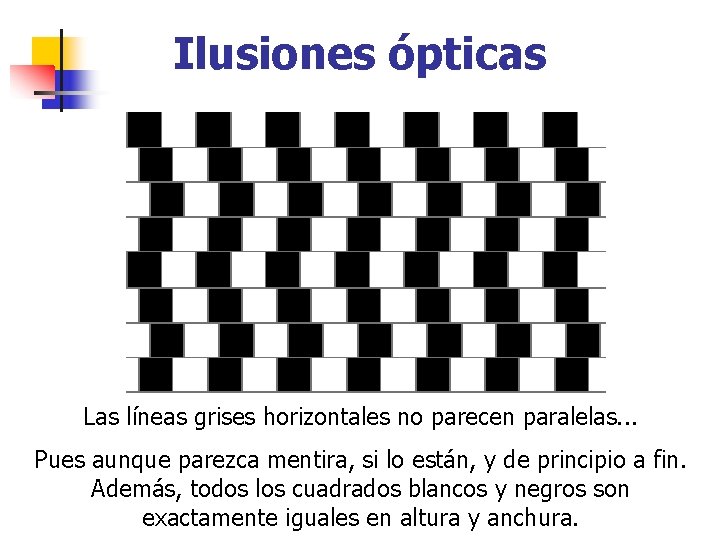 Ilusiones ópticas Las líneas grises horizontales no parecen paralelas. . . Pues aunque parezca