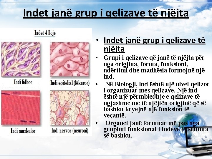 Indet janë grup i qelizave të njëjta • Grupi i qelizave që janë të