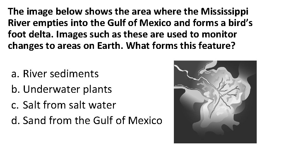 The image below shows the area where the Mississippi River empties into the Gulf The image below shows the area where the Mississippi River empties into the Gulf