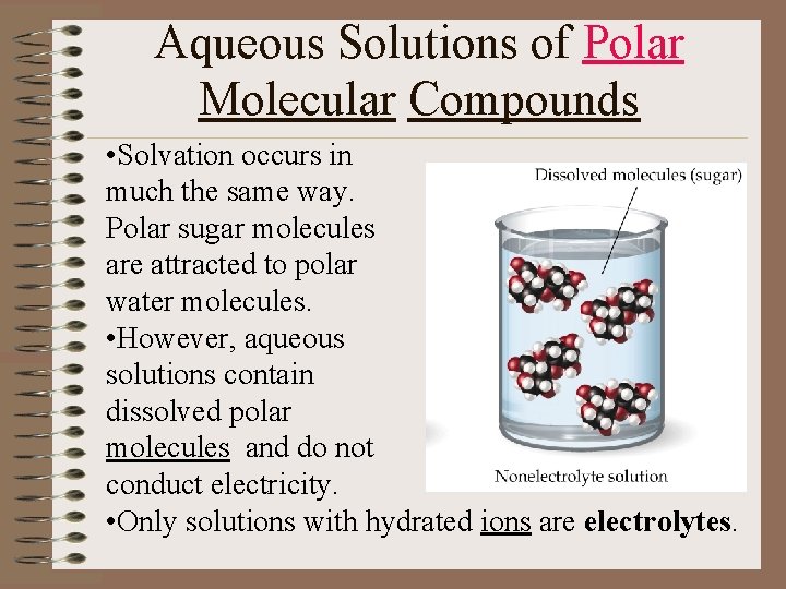 Aqueous Solutions of Polar Molecular Compounds • Solvation occurs in much the same way.