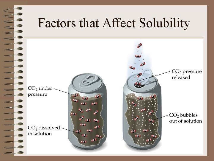 Factors that Affect Solubility 