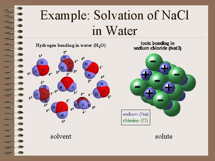 Example: Solvation of Na. Cl in Water Hydrogen bonding in water (H 2 O)