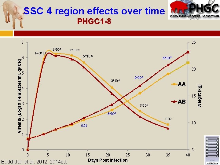 SSC 4 region effects over time PHGC 1 -8 7 25 1*10 -9 1*10