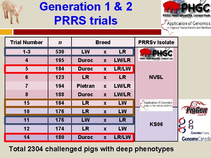 Generation 1 & 2 PRRS trials Trial Number n Breed PRRSv Isolate 1 -3
