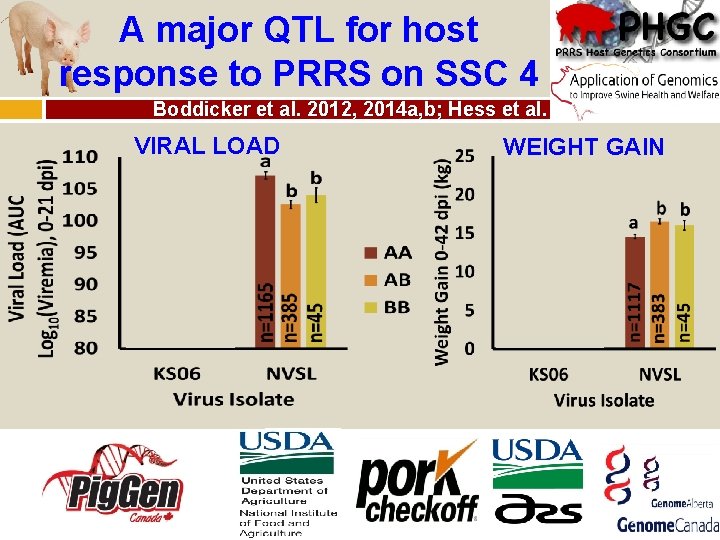A major QTL for host response to PRRS on SSC 4 Boddicker et al.