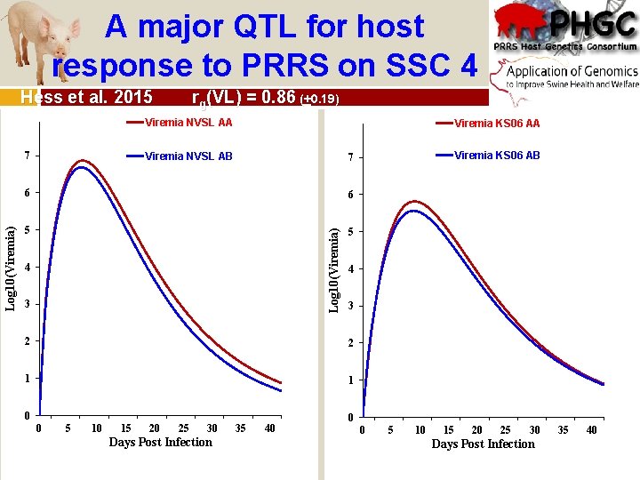 A major QTL for host response to PRRS on SSC 4 Hess et al.