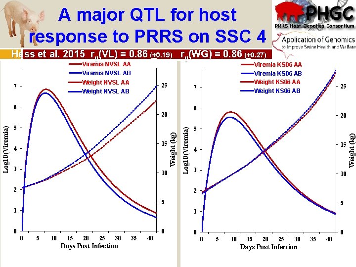 A major QTL for host response to PRRS on SSC 4 Hess et al.