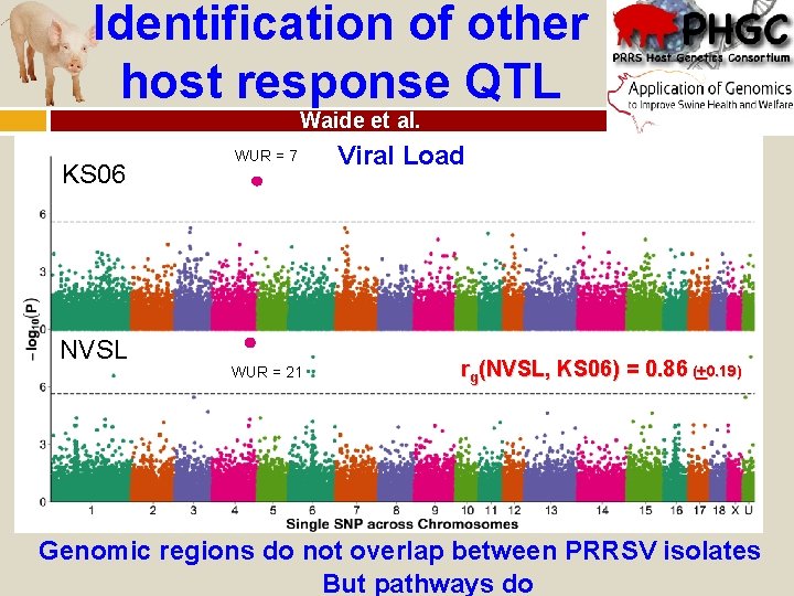 Identification of other host response QTL Waide et al. KS 06 NVSL WUR ==