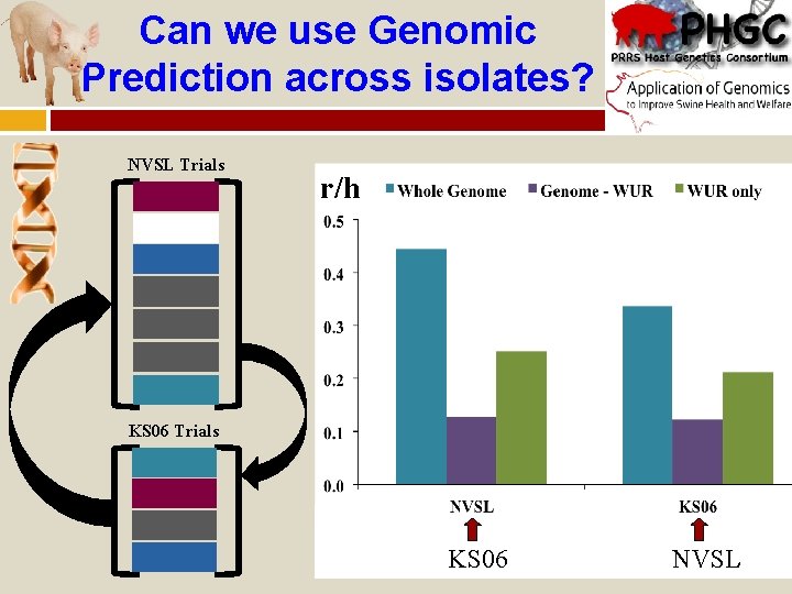 Can we use Genomic Prediction across isolates? NVSL Trials r/h KS 06 Trials KS