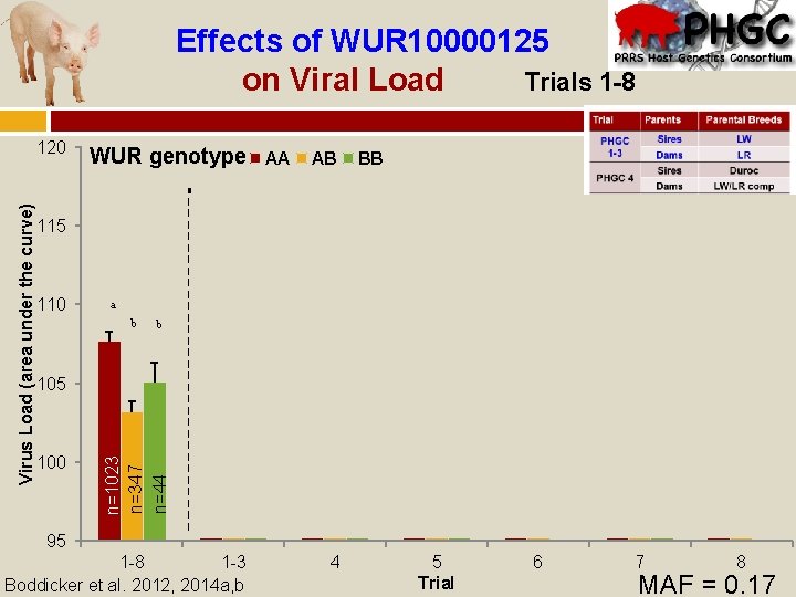 Effects of WUR 10000125 on Viral Load Trials 1 -8 WUR genotype AA AB
