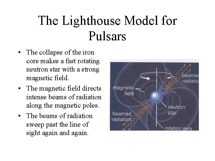 The Lighthouse Model for Pulsars • The collapse of the iron core makes a