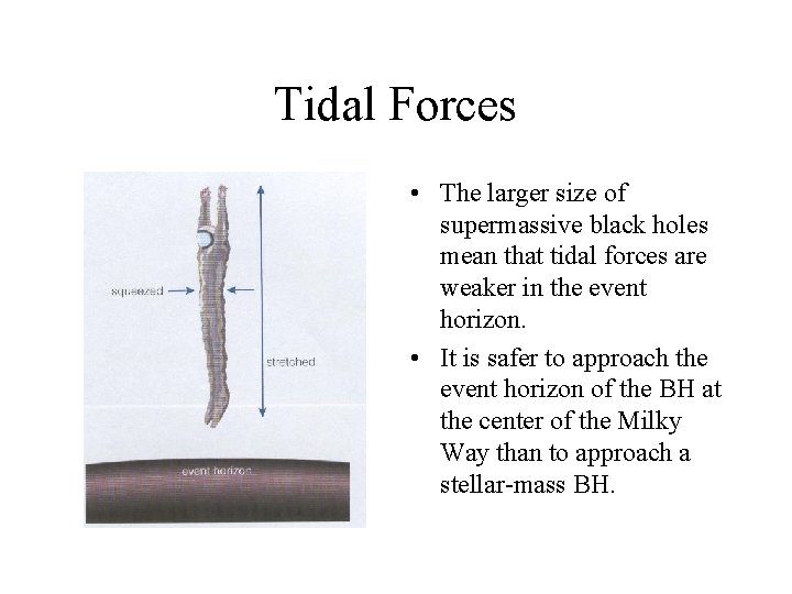 Tidal Forces • The larger size of supermassive black holes mean that tidal forces
