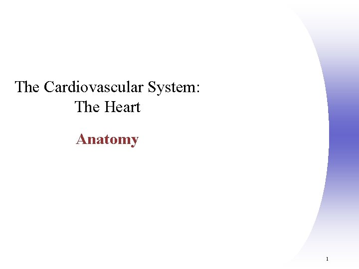 The Cardiovascular System: The Heart Anatomy 1 