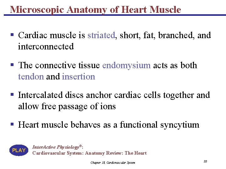 Microscopic Anatomy of Heart Muscle § Cardiac muscle is striated, short, fat, branched, and