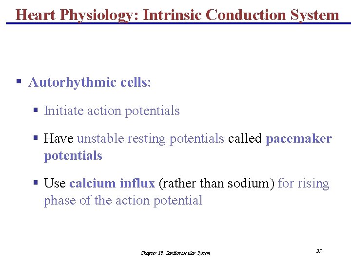 Heart Physiology: Intrinsic Conduction System § Autorhythmic cells: § Initiate action potentials § Have