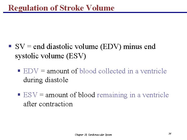 Regulation of Stroke Volume § SV = end diastolic volume (EDV) minus end systolic