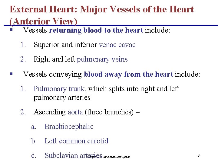 External Heart: Major Vessels of the Heart (Anterior View) § Vessels returning blood to