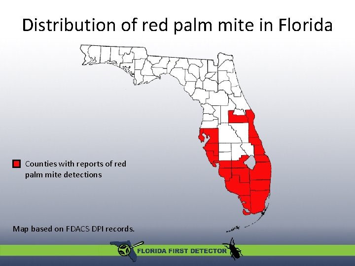 Distribution of red palm mite in Florida Counties with reports of red palm mite Distribution of red palm mite in Florida Counties with reports of red palm mite