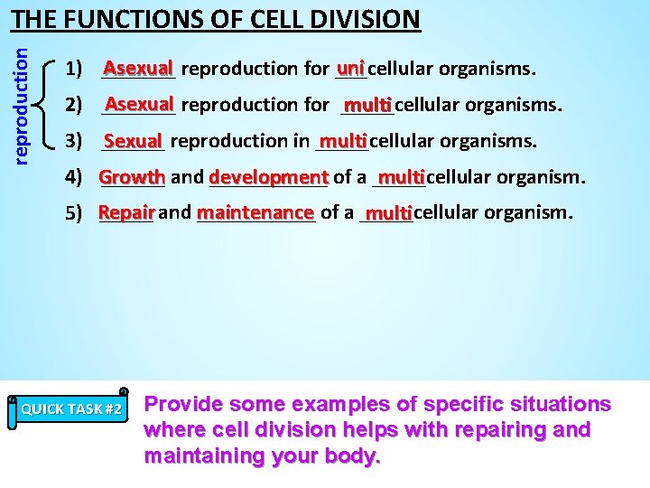 reproduction THE FUNCTIONS OF CELL DIVISION Asexual reproduction for ___cellular uni 1) _______ organisms.