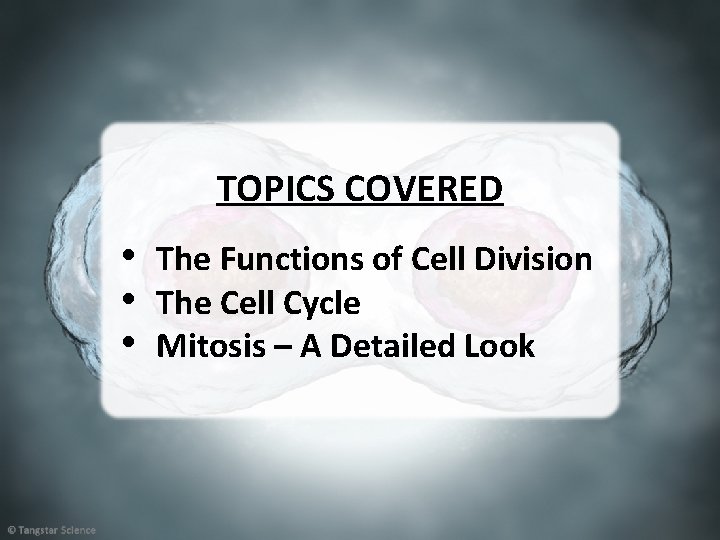 TOPICS COVERED • The Functions of Cell Division • The Cell Cycle • Mitosis