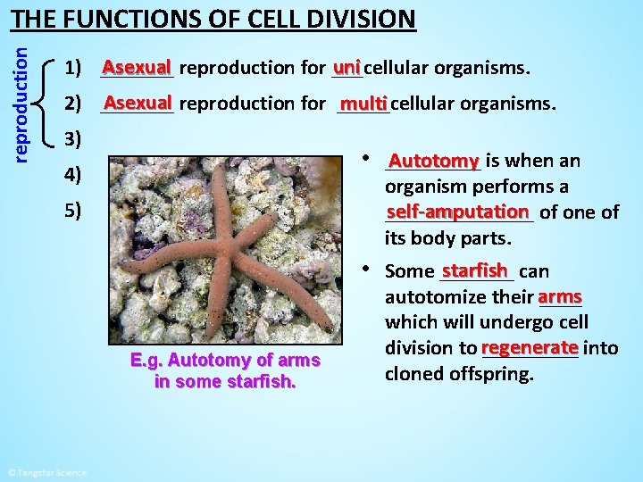 reproduction THE FUNCTIONS OF CELL DIVISION Asexual reproduction for ___cellular uni 1) _______ organisms.