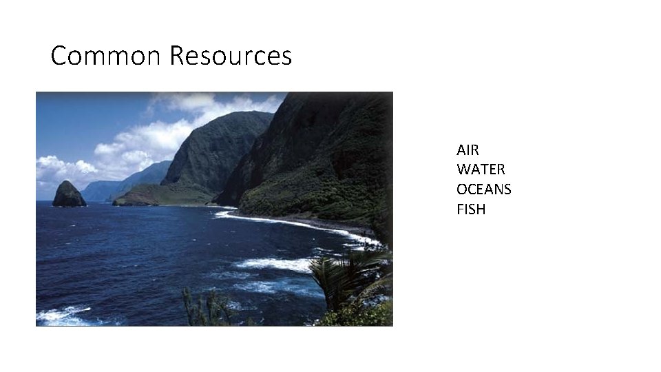 Common Resources AIR WATER OCEANS FISH 