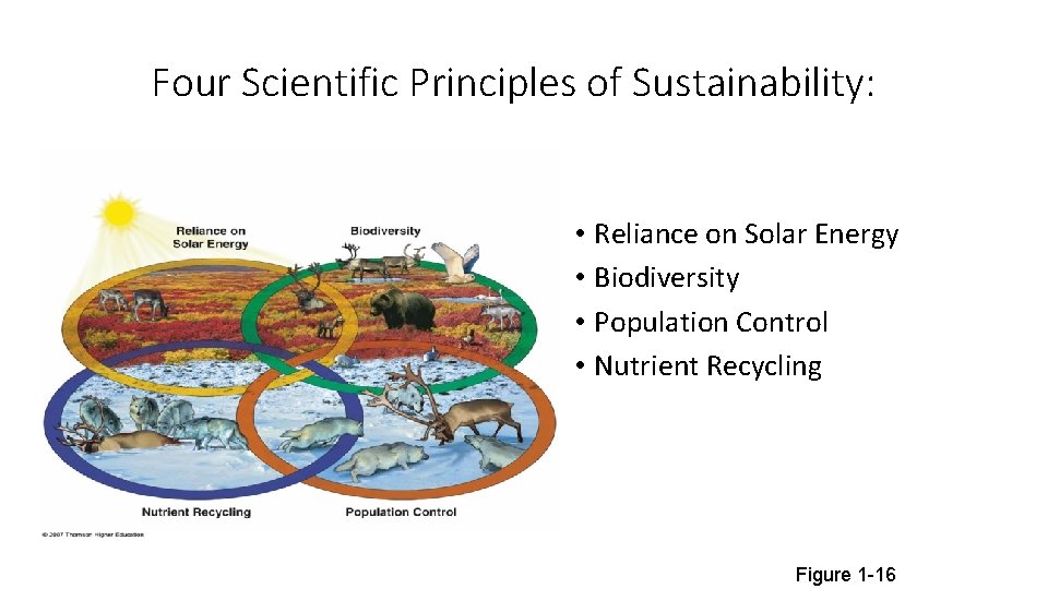 Four Scientific Principles of Sustainability: • Reliance on Solar Energy • Biodiversity • Population