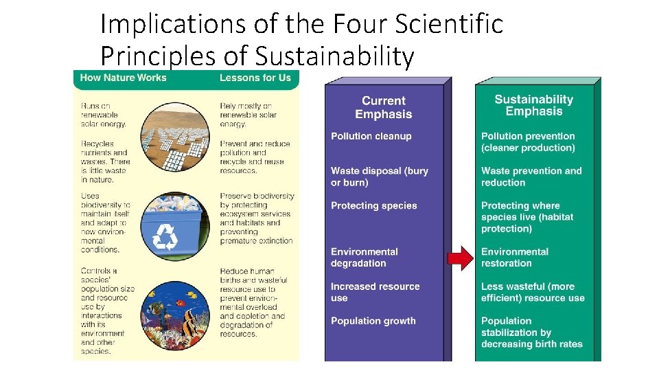 Implications of the Four Scientific Principles of Sustainability 