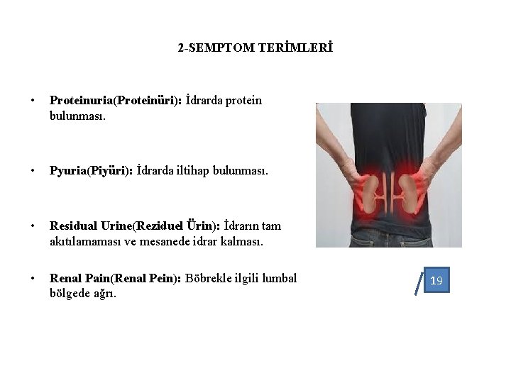 2 -SEMPTOM TERİMLERİ • Proteinuria(Proteinüri): İdrarda protein bulunması. • Pyuria(Piyüri): İdrarda iltihap bulunması. •