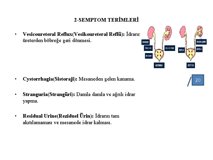 2 -SEMPTOM TERİMLERİ • Vesicoureteral Reflux(Vesikoureteral Reflü): İdrarın üreterden böbreğe geri dönmesi. • Cystorrhagia(Sistoraji):